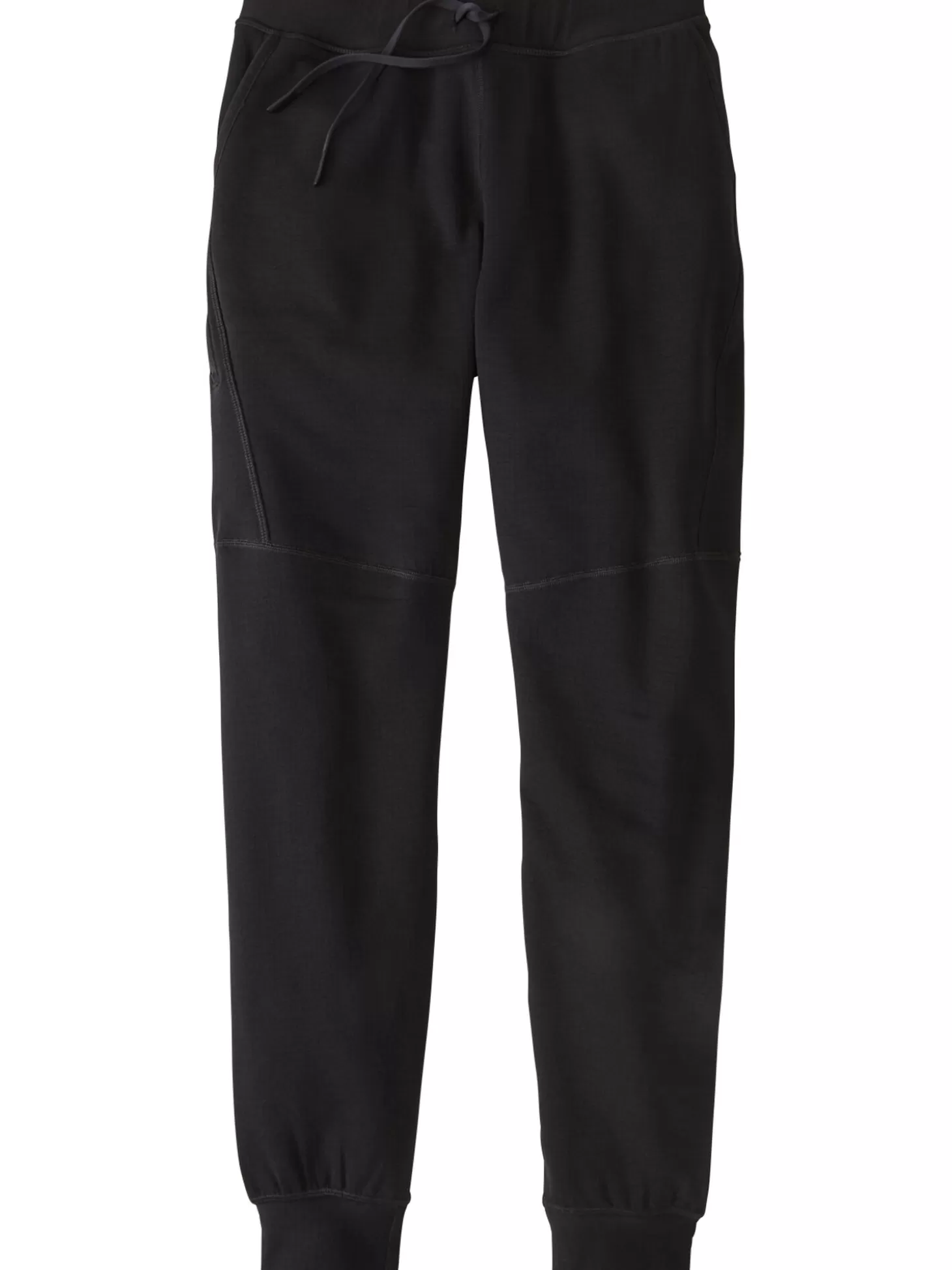 Alpine Air Polartec® Joggers>Title Nine New